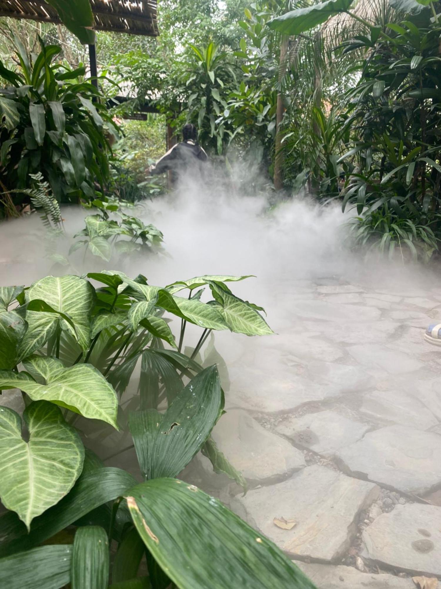 Nha Lua Homestay ニンビン エクステリア 写真