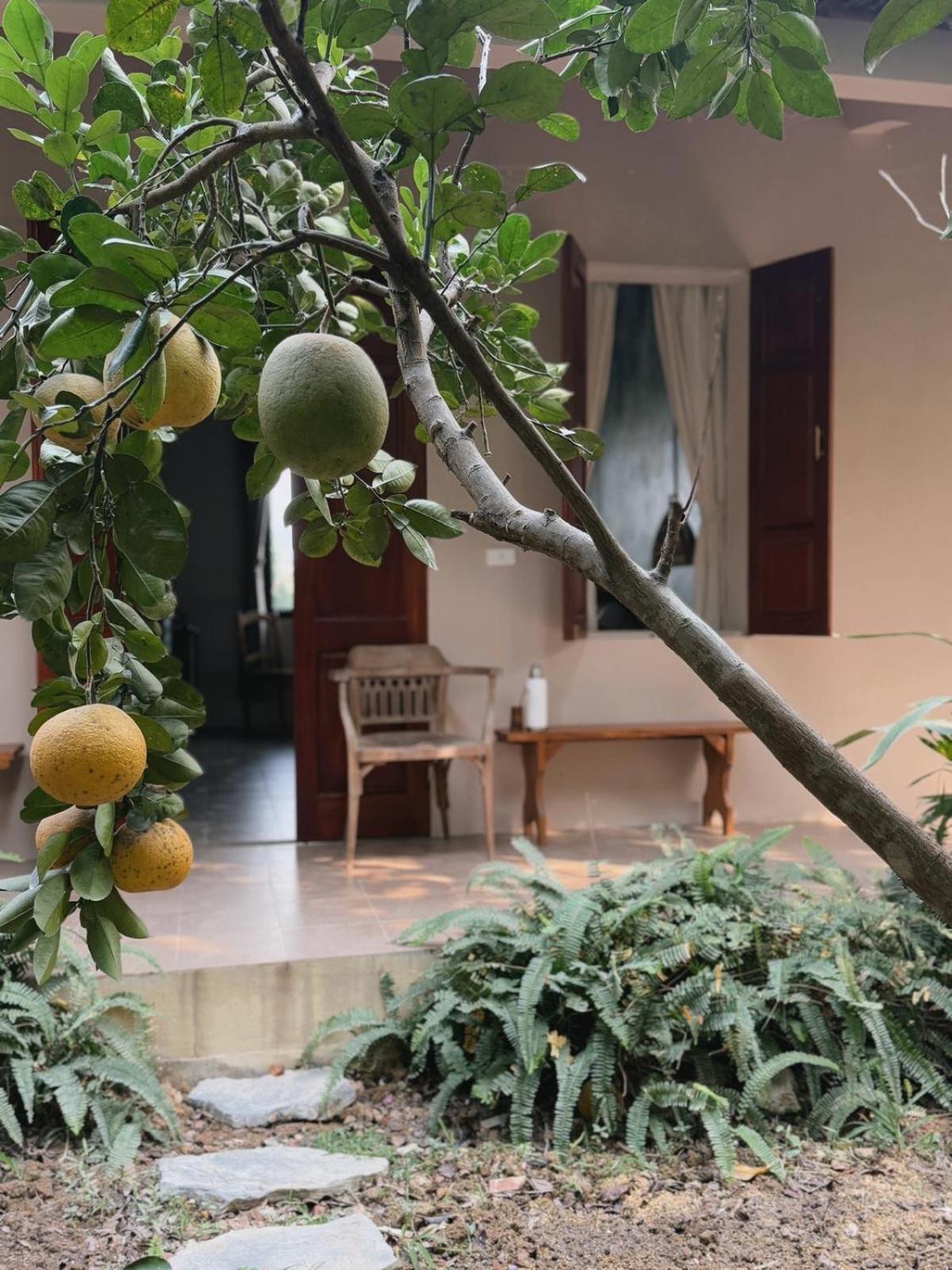 Nha Lua Homestay ニンビン エクステリア 写真